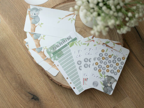 Kids Budgeting Starterset