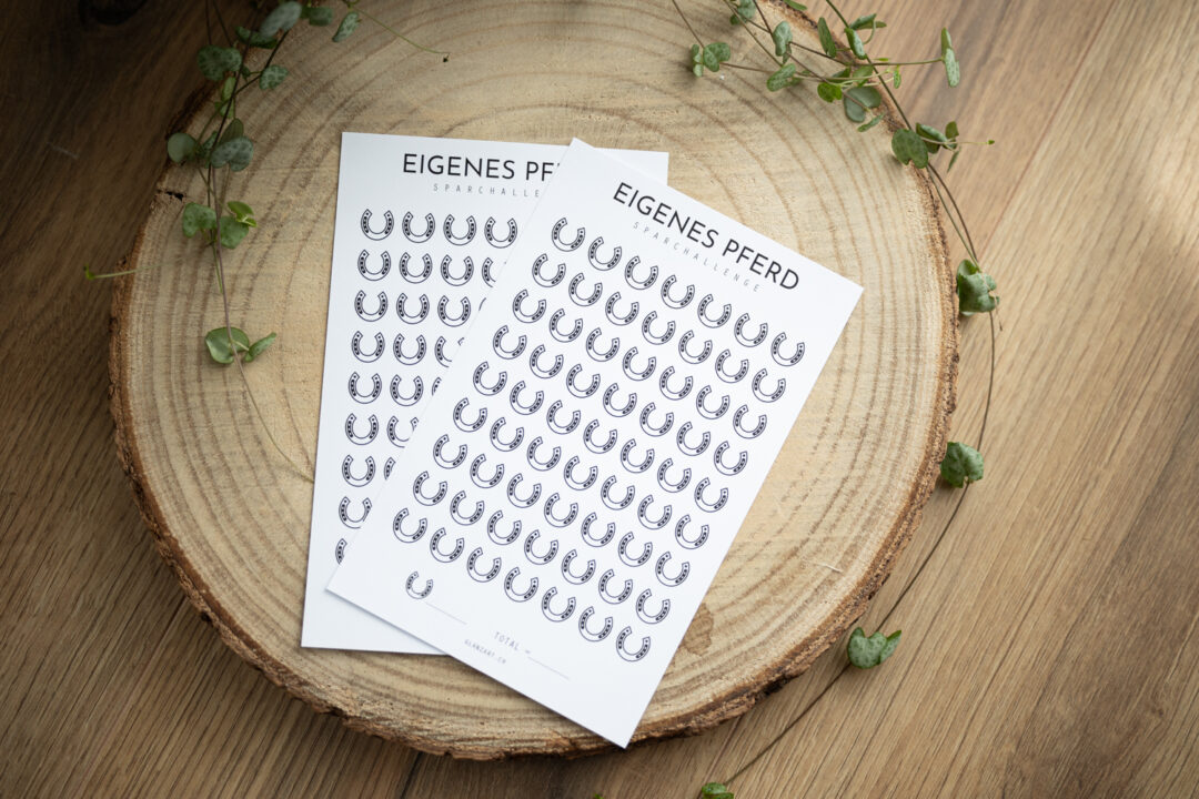 glanzart_budgeting_budgetieren_challenge_sparchallenge_a5_eigenes pferd_pferd_horse_haustier