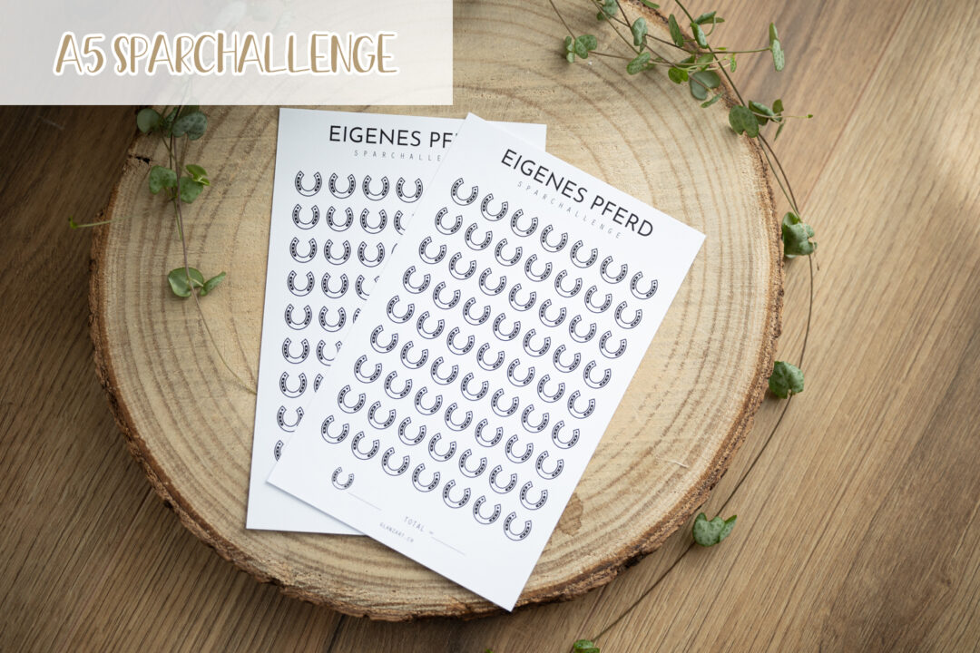 glanzart_budgeting_budgetieren_challenge_sparchallenge_a5_eigenes pferd_pferd_horse_haustier-2