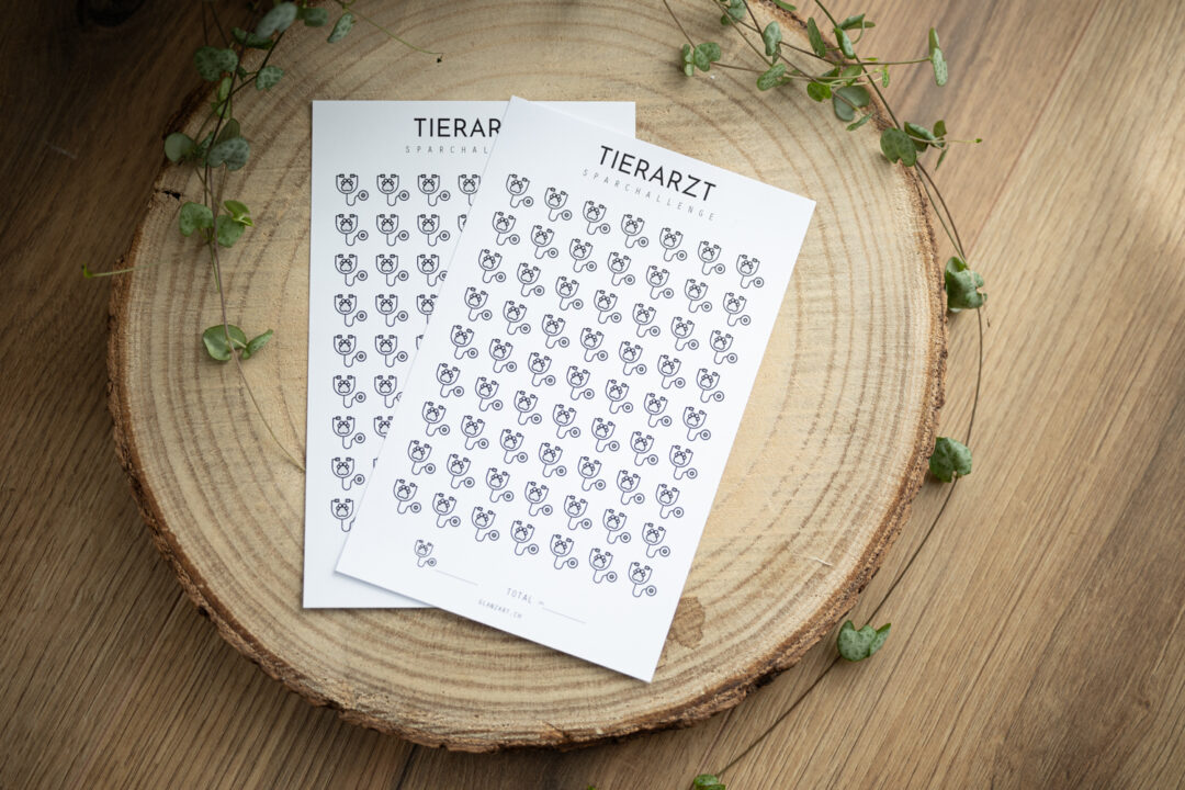 glanzart_budgeting_budgetieren_challenge_sparchallenge_a5_tierarzt_vet_notfall_haustier
