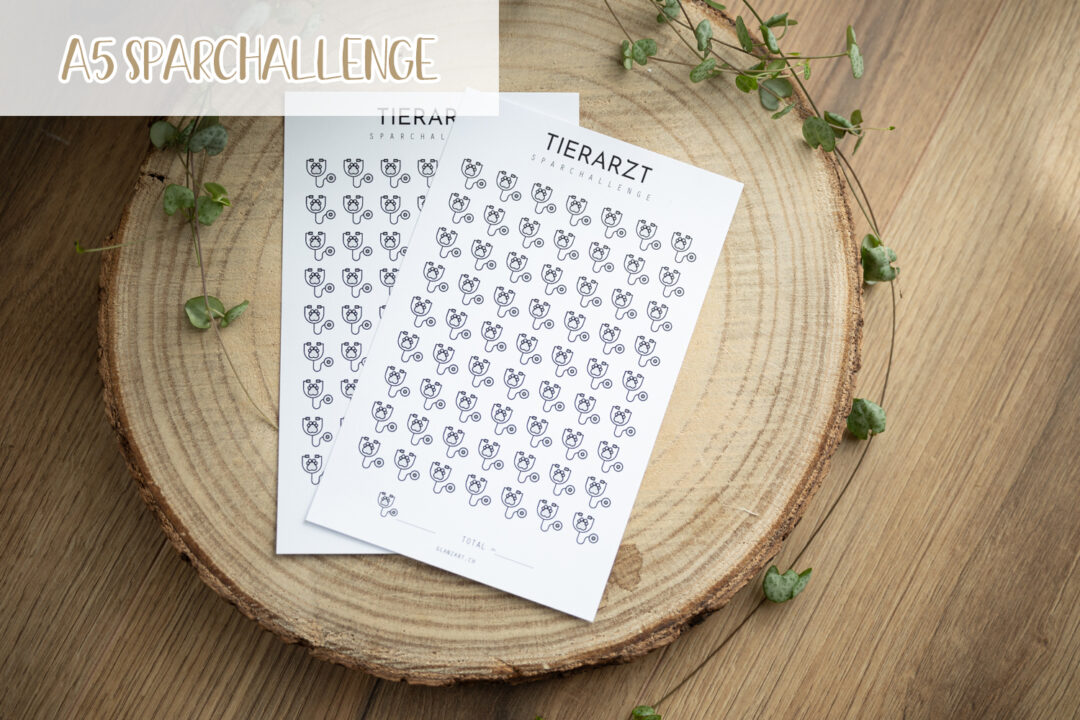 glanzart_budgeting_budgetieren_challenge_sparchallenge_a5_tierarzt_vet_notfall_haustier-2