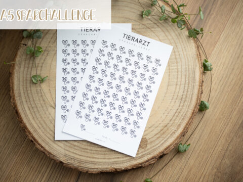 A5 Sparchallenge - Tierarzt