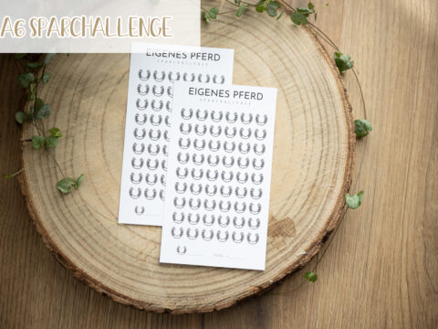 A6 Sparchallenge - Eigenes Pferd