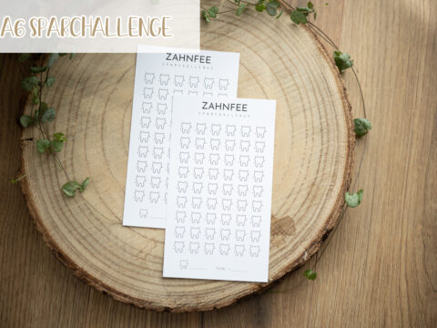 A6 Sparchallenge - Zahnfee