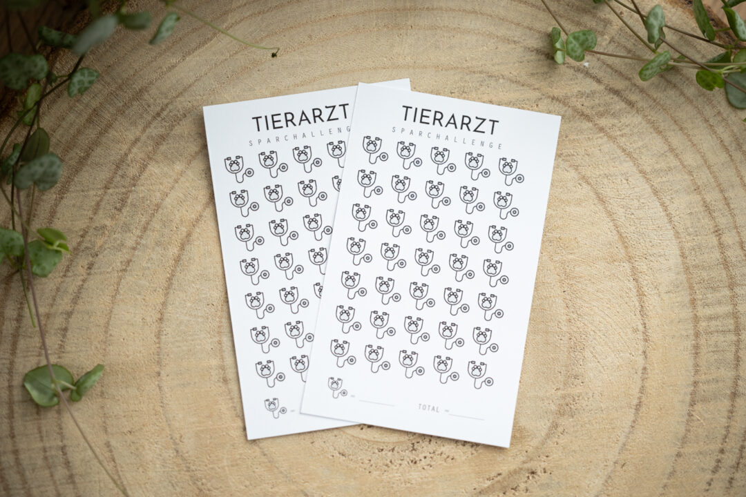 glanzart_budgeting_budgetieren_challenge_sparchallenge_a7_Tierarzt_Vet_Notfall_Haustier