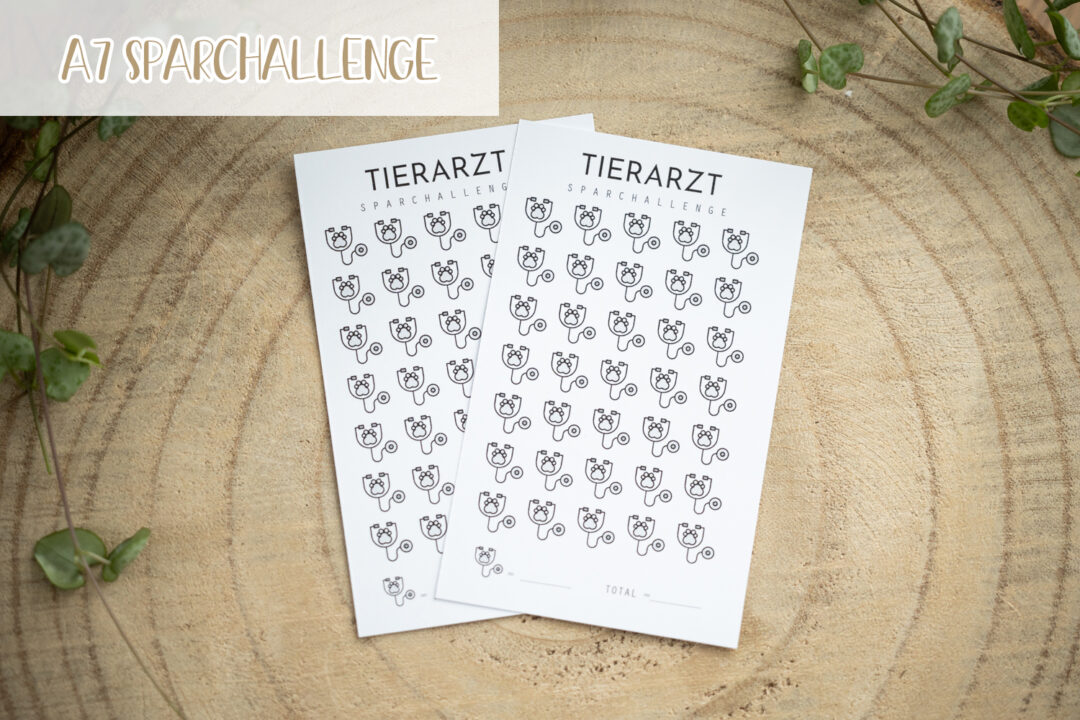 glanzart_budgeting_budgetieren_challenge_sparchallenge_a7_Tierarzt_Vet_Notfall_Haustier-2