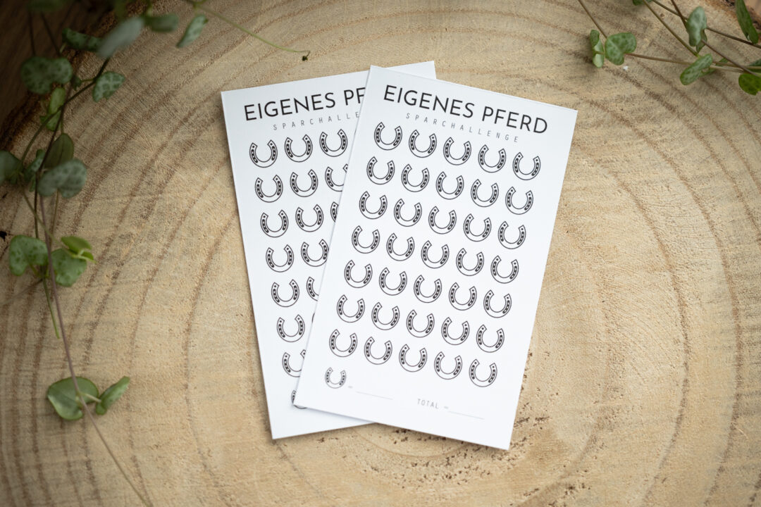 glanzart_budgeting_budgetieren_challenge_sparchallenge_a7_eigenes pferd_pferd_horse_pferdekauf
