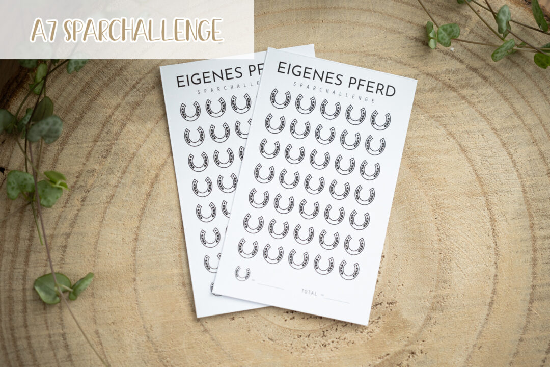 glanzart_budgeting_budgetieren_challenge_sparchallenge_a7_eigenes pferd_pferd_horse_pferdekauf-2