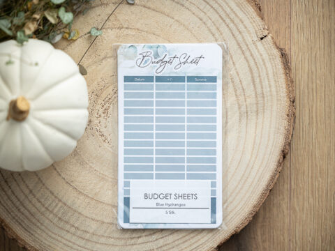 Budgetsheet Tracker - Blue Hydrangea - 5er Set