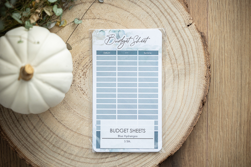 budgeting_budget_budgetsheet_sparen_sparmassnahmen_budgetuebersicht_ausgaben-blue hydrangea