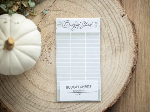Budgetsheet Tracker - Eukalyptus - 10er Set