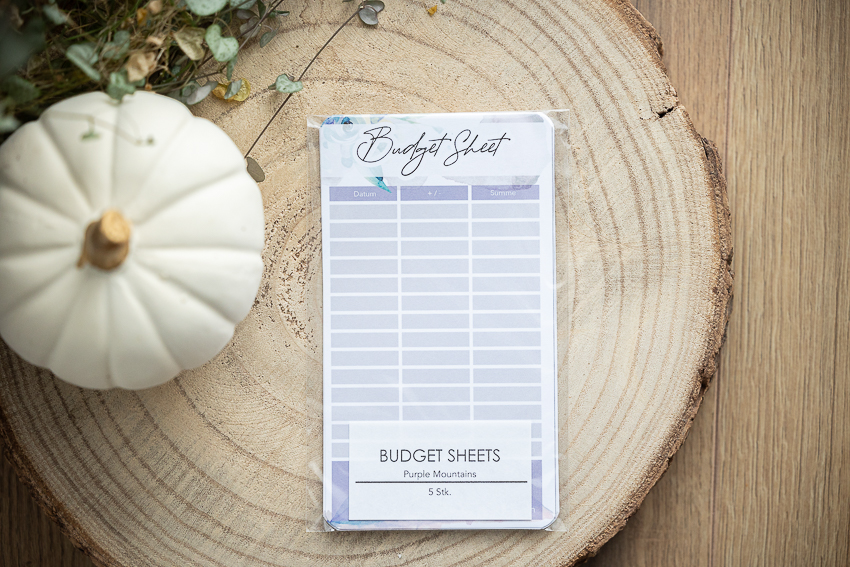 budgeting_budget_budgetsheet_sparen_sparmassnahmen_budgetuebersicht_ausgaben-purple mountains